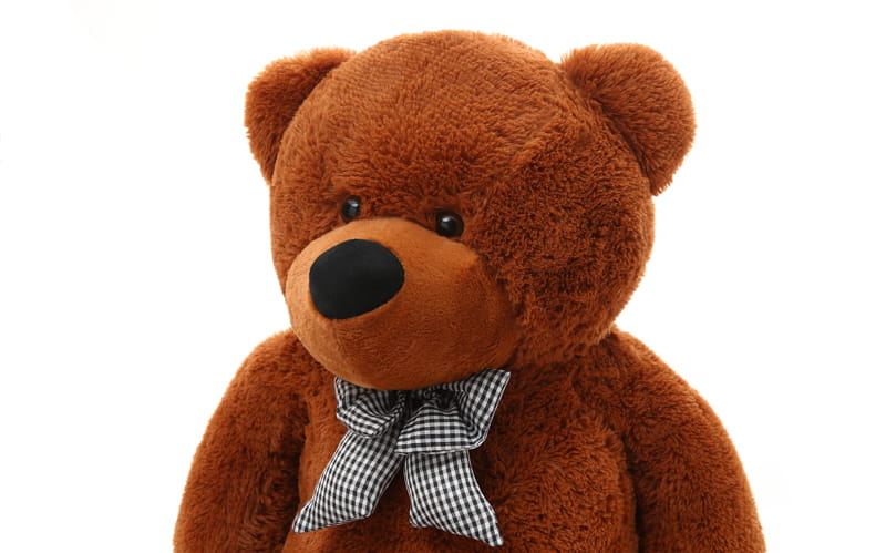 Reuzen Teddybeer